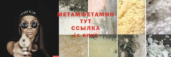 прущие грибы Карталы