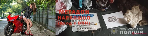 прущие грибы Карталы