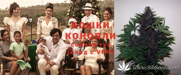 первитин Карпинск