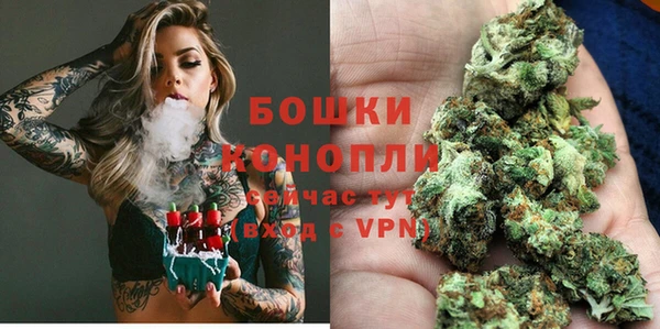 прущие грибы Карталы