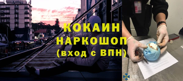 прущие грибы Карталы
