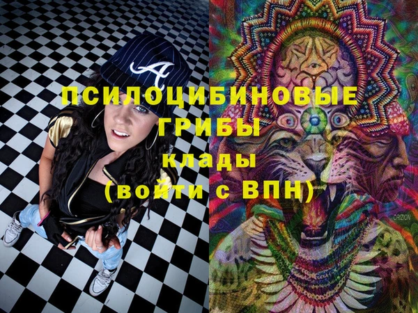 прущие грибы Карталы