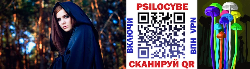 Купить закладки  Туран  Галлюциногенные грибы Psilocybe 